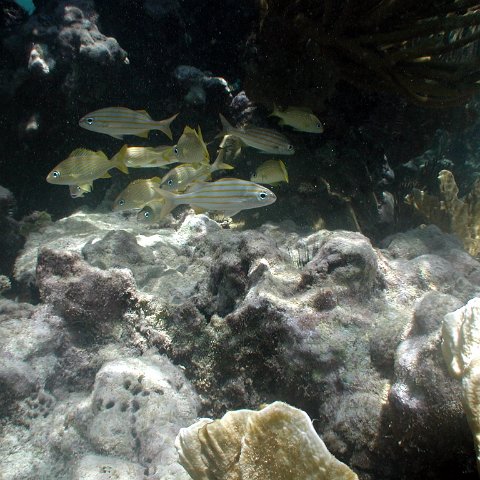 p9033412 p9033412
