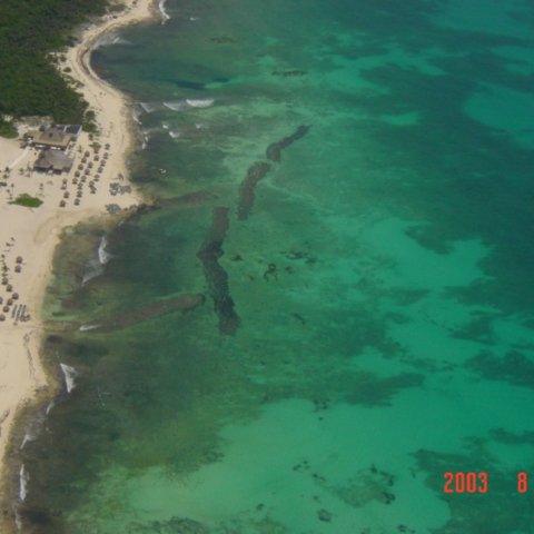 Mayan Palace Submerged Reef Ball Breakwater Project Mayan Palace Submerged Reef Ball Breakwater Project