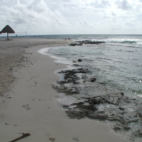beachviews