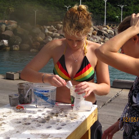 IMG_1011 IMG_1011
