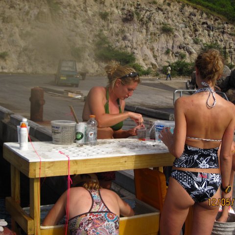 IMG_1012 IMG_1012