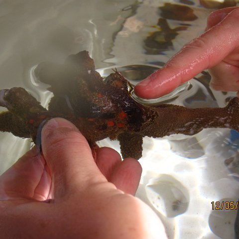 IMG_1014 IMG_1014
