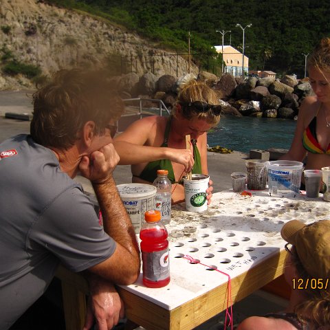 IMG_1016 IMG_1016