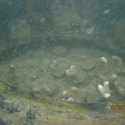 IMG_1020 IMG_1020