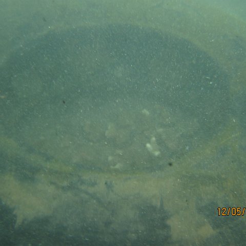 IMG_1022 IMG_1022