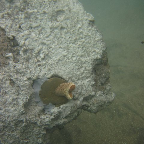 IMG_1023 IMG_1023