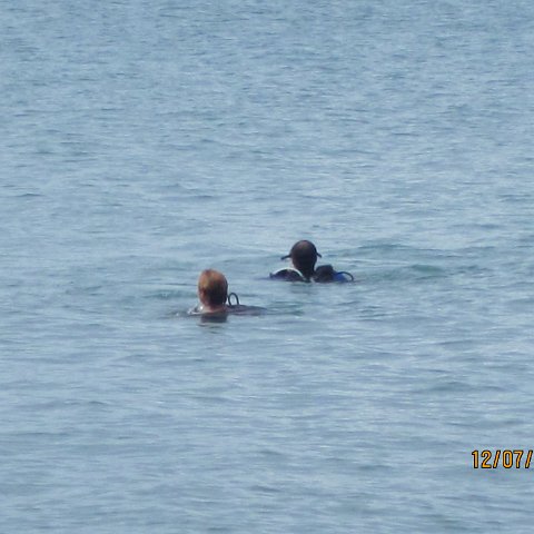 IMG_1066 IMG_1066