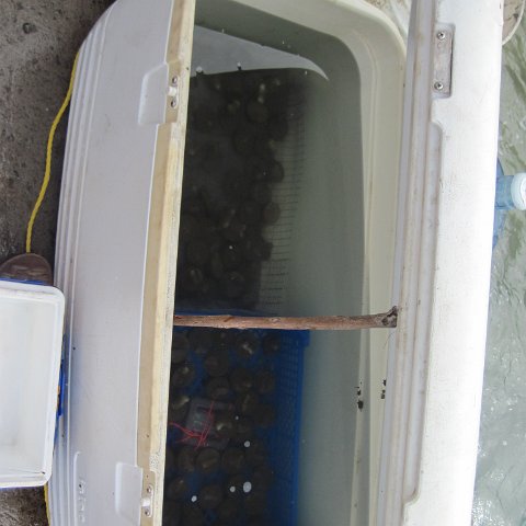 IMG_1069 IMG_1069