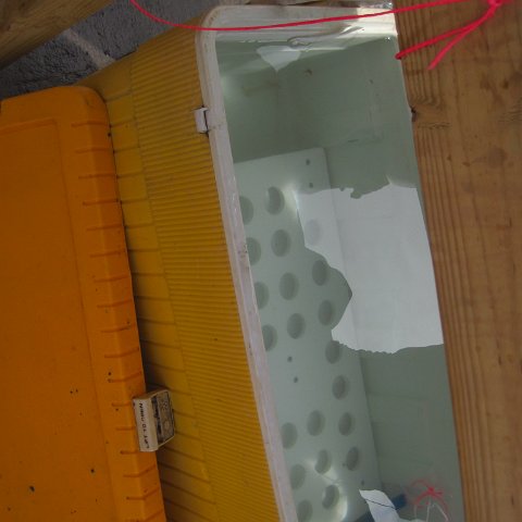IMG_1074 IMG_1074