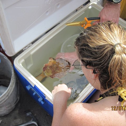 IMG_1075 IMG_1075