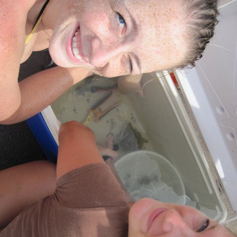 IMG_1082 IMG_1082
