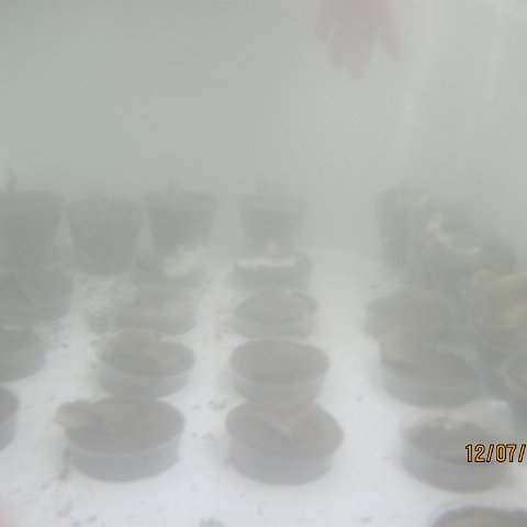 IMG_1087 IMG_1087