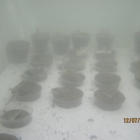 IMG_1088 IMG_1088