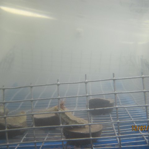 IMG_1089 IMG_1089
