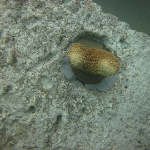 IMG_1100 IMG_1100