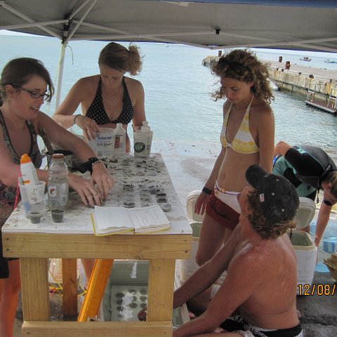 IMG_1102 (2) IMG_1102 (2)