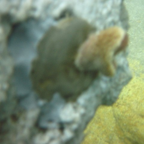 IMG_1102 IMG_1102