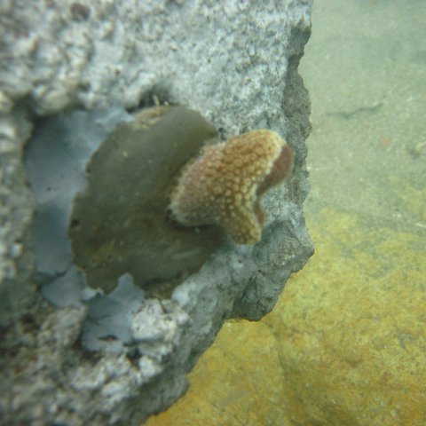 IMG_1103 IMG_1103