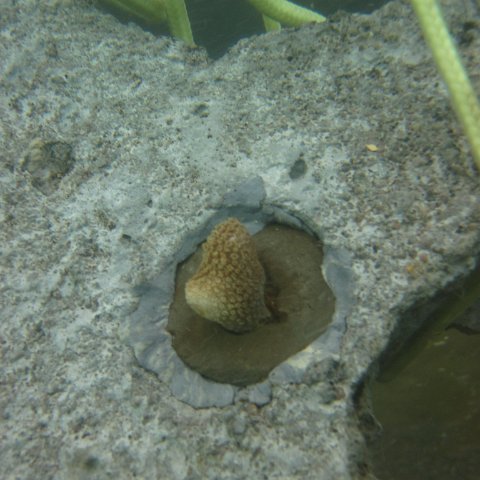 IMG_1104 IMG_1104