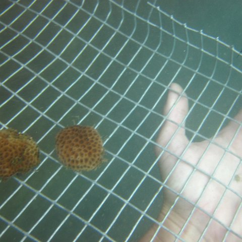 IMG_1105 IMG_1105