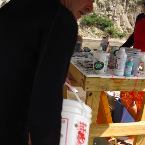 IMG_1132 IMG_1132
