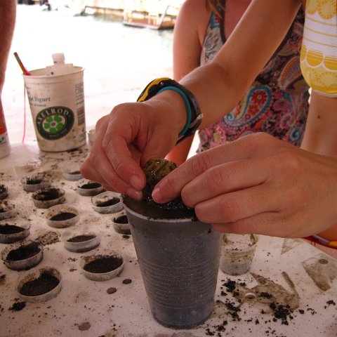 IMG_1138 IMG_1138