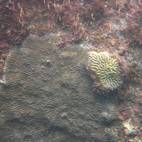 IMG_0831 IMG_0831