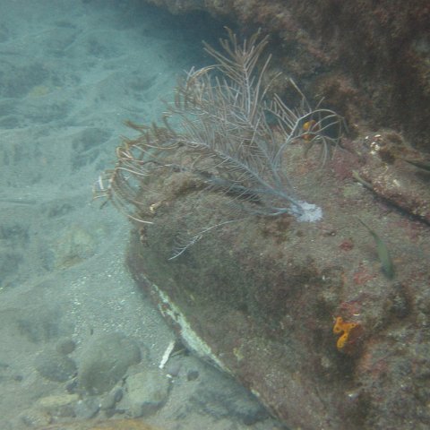 IMG_0833 IMG_0833