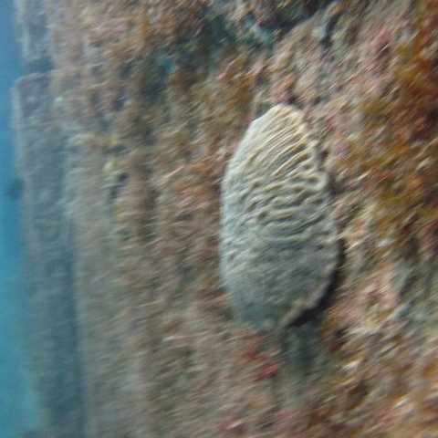 IMG_0834 IMG_0834