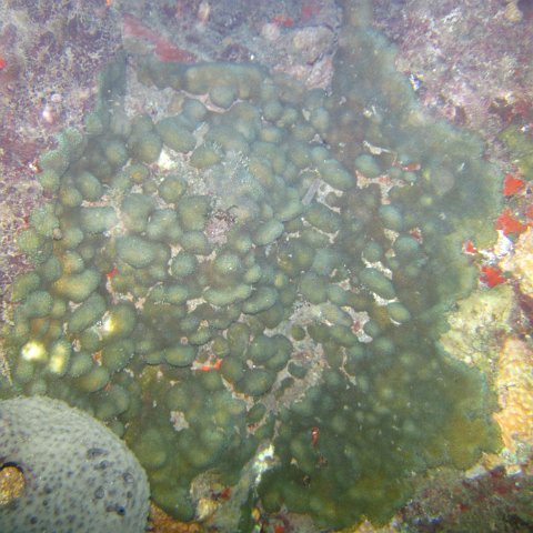 IMG_0835 IMG_0835