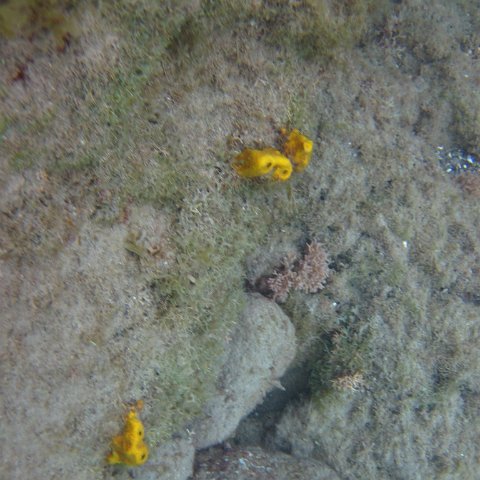 IMG_0837 IMG_0837