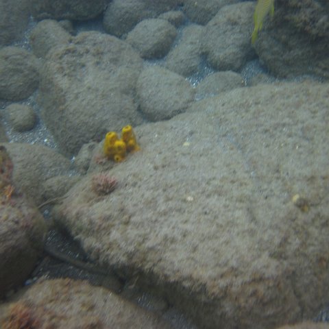 IMG_0838 IMG_0838