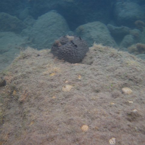 IMG_0840 IMG_0840