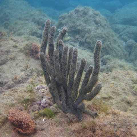 IMG_0841 IMG_0841