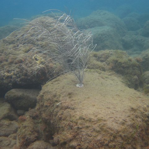IMG_0843 IMG_0843
