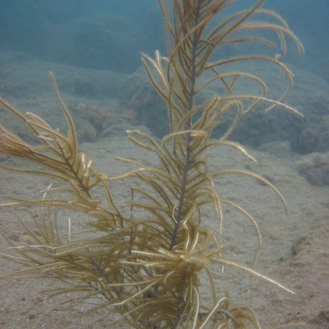 IMG_0844 IMG_0844