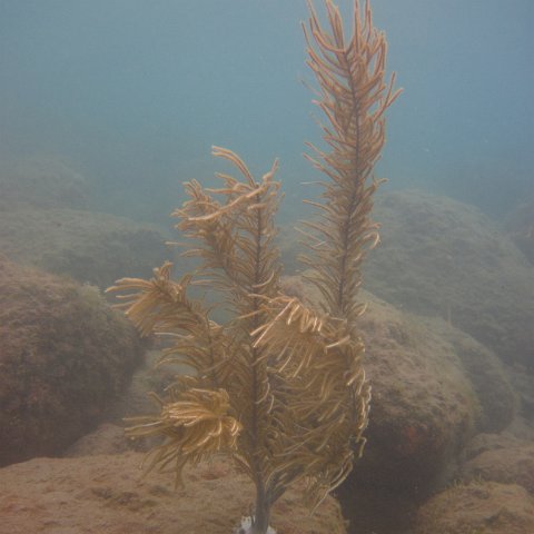 IMG_0845 IMG_0845