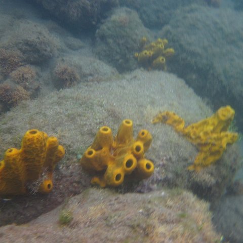 IMG_0847 IMG_0847