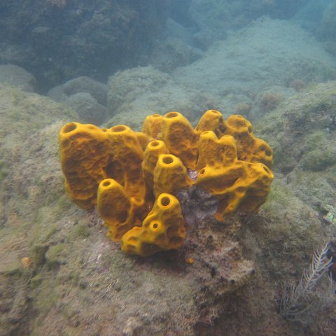 IMG_0848 IMG_0848