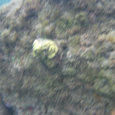 IMG_0849 IMG_0849