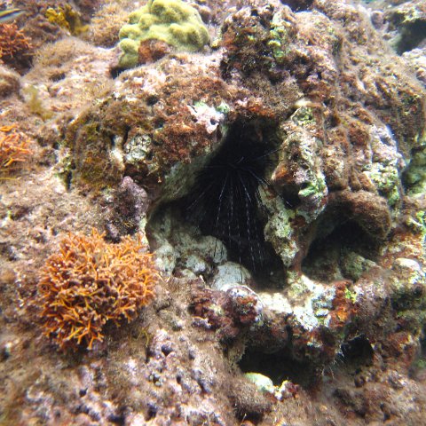 IMG_0854 IMG_0854