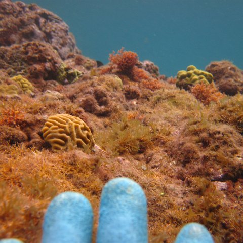 IMG_0855 IMG_0855