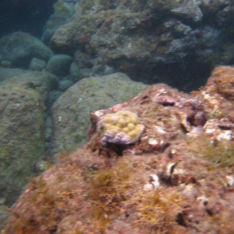 IMG_0856 IMG_0856