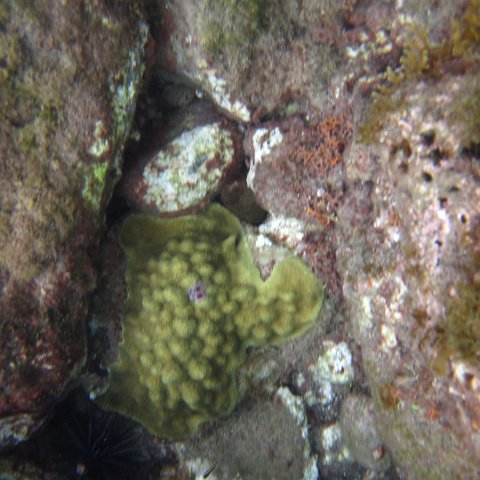 IMG_0857 IMG_0857