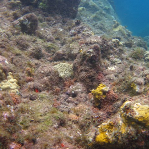 IMG_0858 IMG_0858