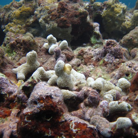 IMG_0859 IMG_0859