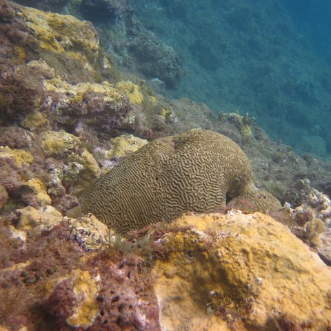 IMG_0860 IMG_0860