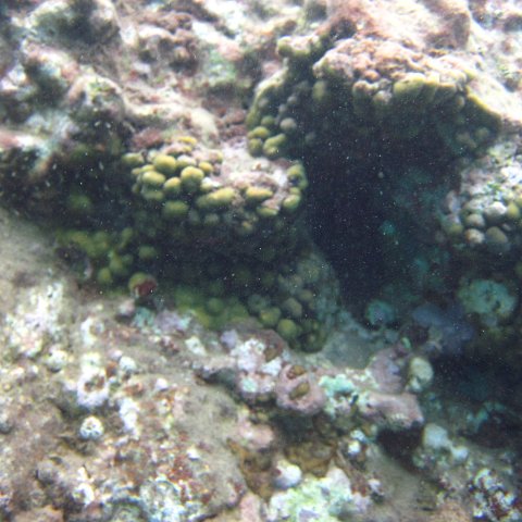 IMG_0863 IMG_0863