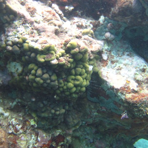 IMG_0864 IMG_0864