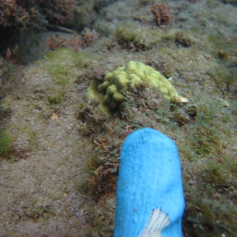 IMG_0866 IMG_0866